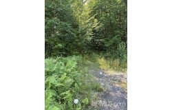 TBD N Firesteel, Mass City, MI 49948
