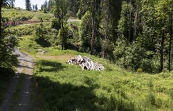 15618 S WAVE RD, Mulino, OR 97042