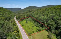 Tbd Route 42, Lexington, NY 12452