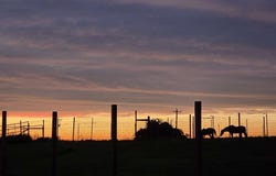 3250 Springfield RD, Springtown, TX 76082