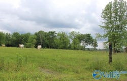 600 County Road 550, Grove Oak, AL 35975
