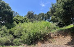 Frye ST, Oakland, CA 94602