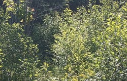25702 M-64, Ontonagon, MI 49953