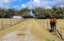 14240 SR 471, WEBSTER, FL 33597