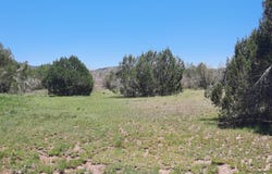 Lot 1316 Anvil Rock Rd, Seligman, AZ 86337