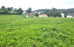 Tbd Orchard Hills Road, Rural Retreat, VA 24368