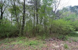 NELPINE Road, PRESTON, MD 21655