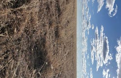 Morton Elevator Road, Dumas, TX 79029