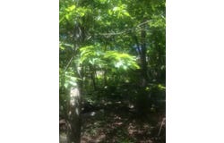 190 BROOK Trail, Greenwood Lake, New York 10990, Warwick, NY 10990