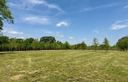 00019 Windermere Boulevard, Madison, MS 39110