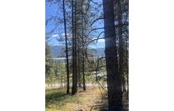 6 PARKVIEW DR, KETTLE FALLS, WA 99141
