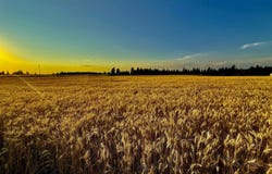 0 E Orchard Bluff Rd Lot A Rd, Chattaroy, WA 99003