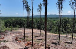 XXX Palmer Mountain Road, Caddo Gap, AR 71935