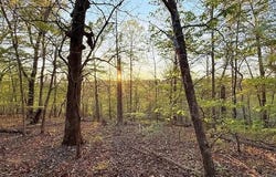 2345 Overlook Drive, Kansas, OK 74347