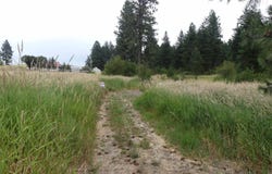 506 Devils Elbow Drive, Lenore, ID 83541