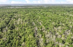 1558 BAYOU Road, St. Bernard, LA 70085