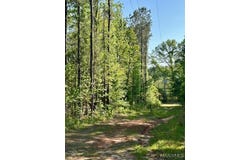 0 Sherling Lake Road, Greenville, AL 36037