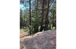 193 Summer Haven Drive, Woodland Park, CO 80863