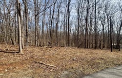Driftwood Ct lot: 99, Moneta, VA 24121