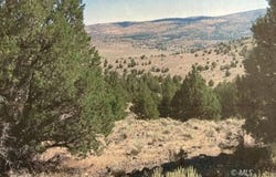 Tuledad Canyon, Termo, CA 96132