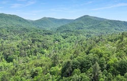 376 Eagles, Blairsville, GA 30512