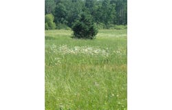 Lot 3 165th Avenue, Stanley, WI 54768