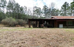 48839 S ALABAMA HIGHWAY 25, STERRETT, AL 35147