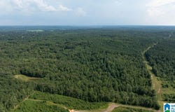 0 WILKERSON ROAD, FAYETTE, AL 35555