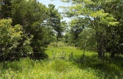 230 Rock Creek Road, Quenemo, KS 66528