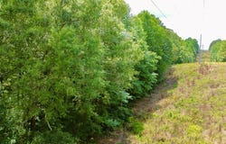 65 Sandy Point Rd, CAMDEN, TN 38320