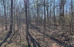 Tract #3 Lake Road, Silva, MO 63964