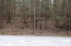 Tbd Terrace Drive, Lexington, NY 12468