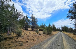 Canvasback Drive, Bonanza, OR 97623