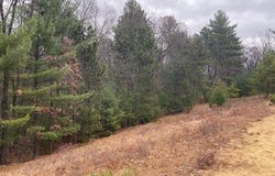 Lt1 Blue Heron Dr, Warrens, WI 54666