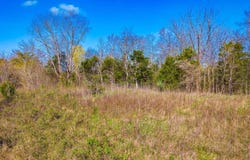 Tract 1 Dumplin Mill Road, New Market, TN 37820