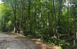 Pitts Way, Rabun Gap, GA 30568