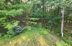 2400 Maple Road, Manistee, MI 49660