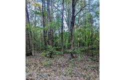 HWY 145, Saltillo, MS 38866