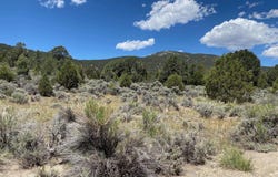 El Dorado Canyon, Carson City, NV 89701