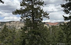 Bonnie Green, Duck Creek Village, UT 84762