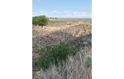 McLean, TX 79057