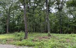37 Tall Pine Circle, Norfork, AR 72658