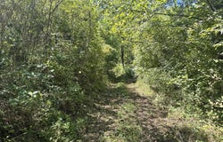 7197 Tazewell Highway, Sneedville, TN 37869