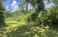 TBD Hollis Lane, Prentiss, MS 39474