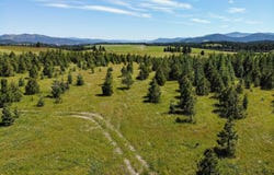 Nna S Hawthorne Drive Parcel 1, Harrison, ID 83833