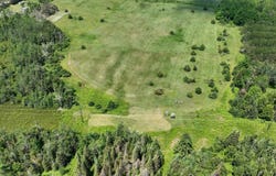 11179 Hossler Road, Atlanta, MI 49709