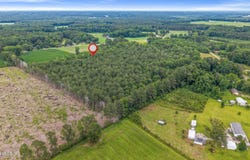 Willard Road, Willard, NC 28478