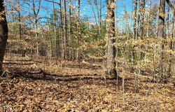 223 Burning Oaks Drive, Sevierville, TN 37876