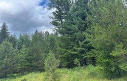 NHN Jewel Lane lot: 23, Trout Creek, MT 59874