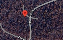 Lot 02 Wimic  TRACE, Cherokee Village, AR 72529